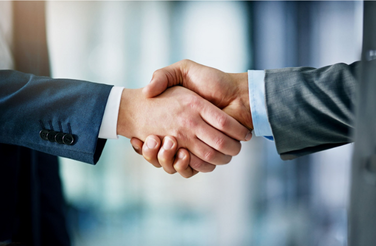 Legal professionals collaborating